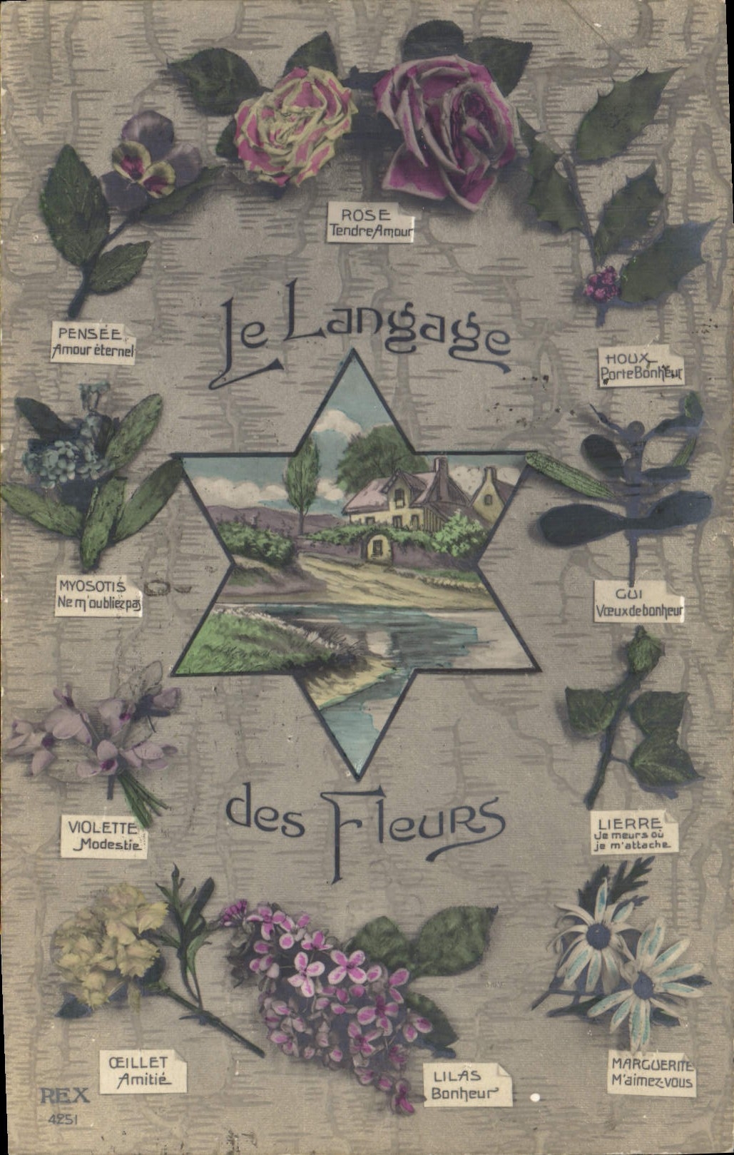 CPA Fantaisie Le langage des Fleurs Rose Pensee Myosotis Violette Oeillet Houx Gui Lierre Marguerite 