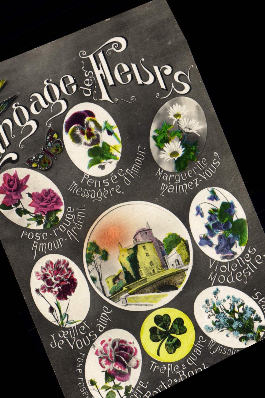 CPA Fantaisie Le langage des Fleurs 