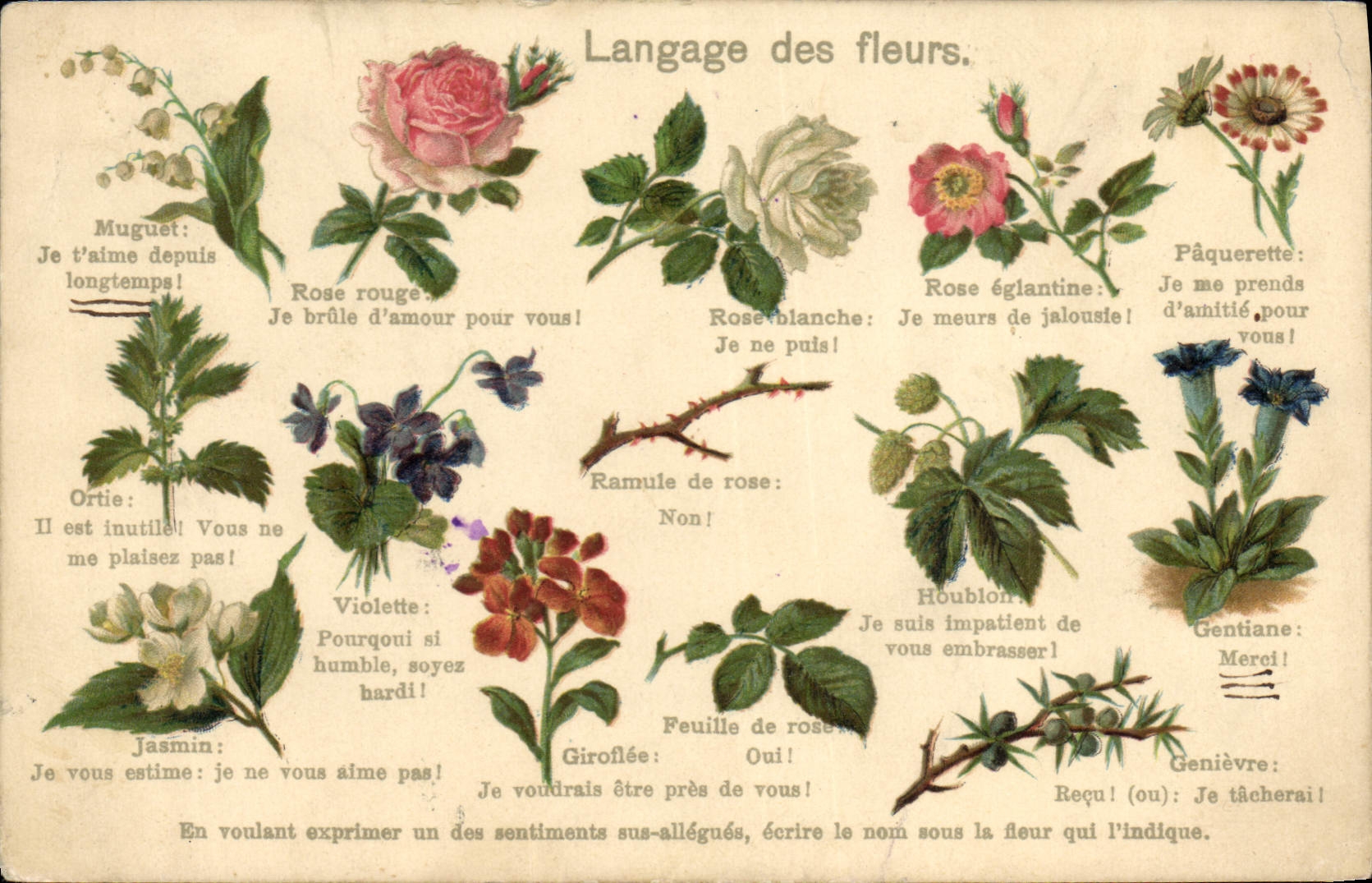 CPA Fantaisie Le langage des Fleurs 