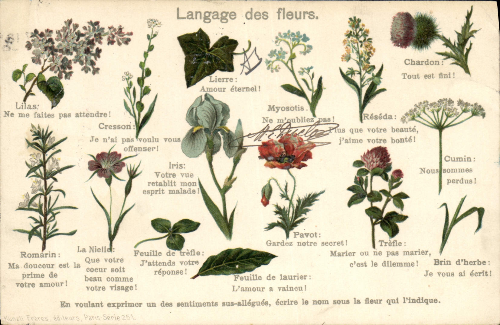 CPA Fantaisie Le langage des Fleurs 
