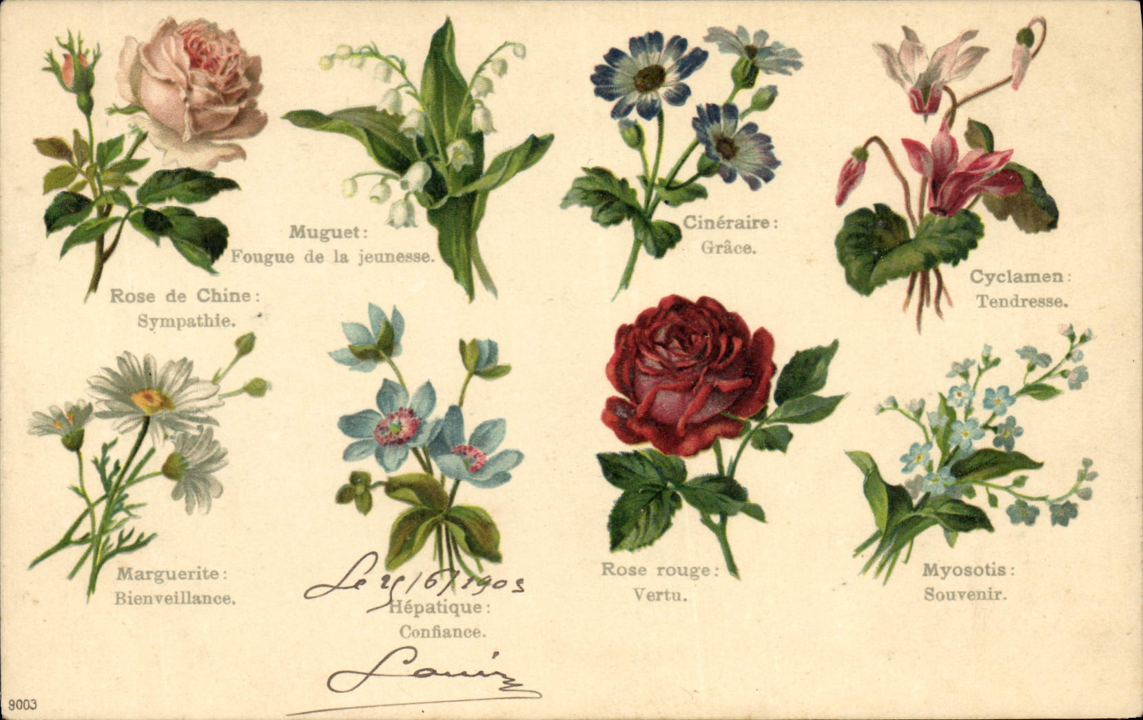 CPA Fantaisie Le langage des Fleurs 