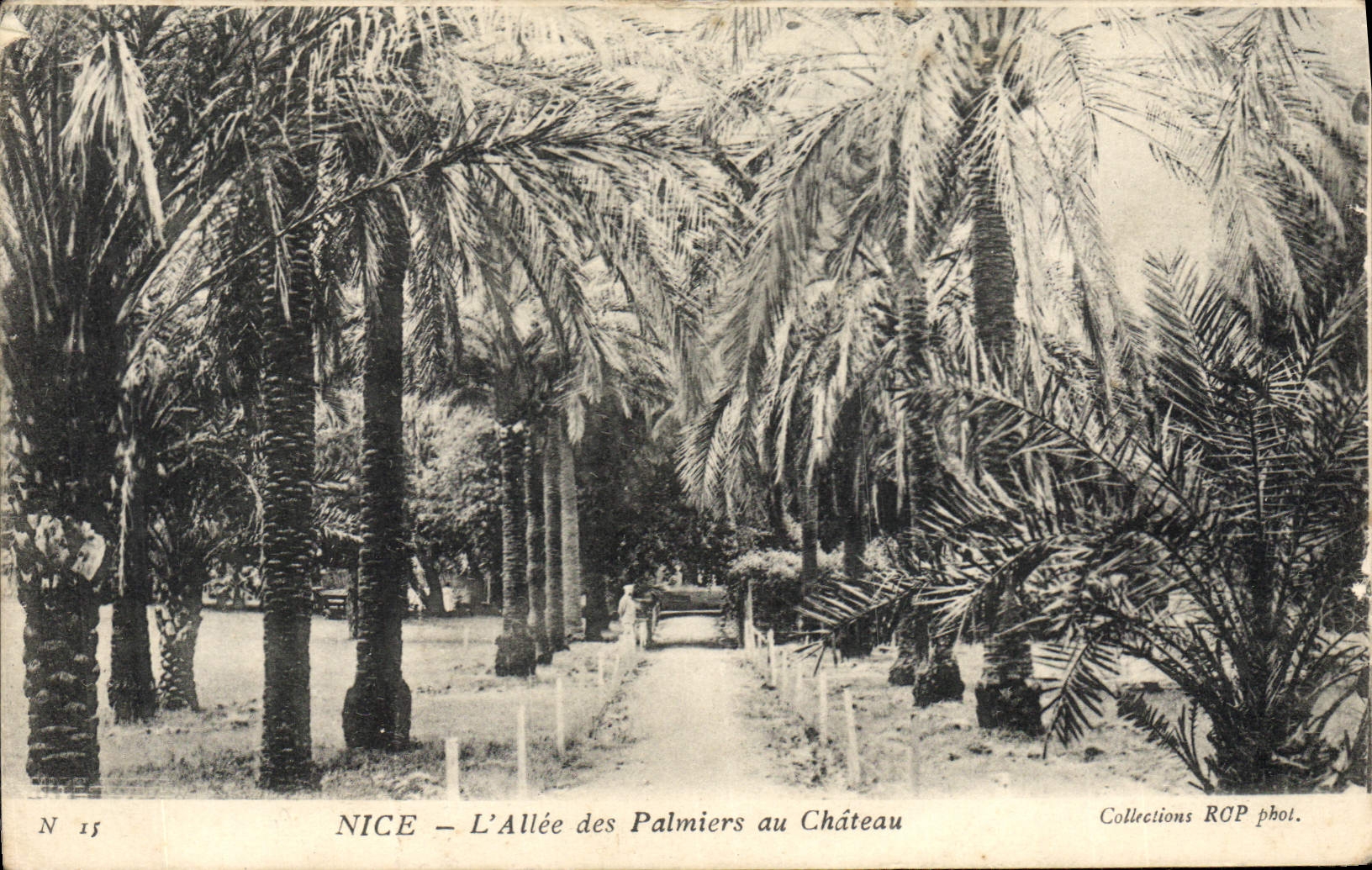 CPA Nice L'allee des Palmiers au chateau 