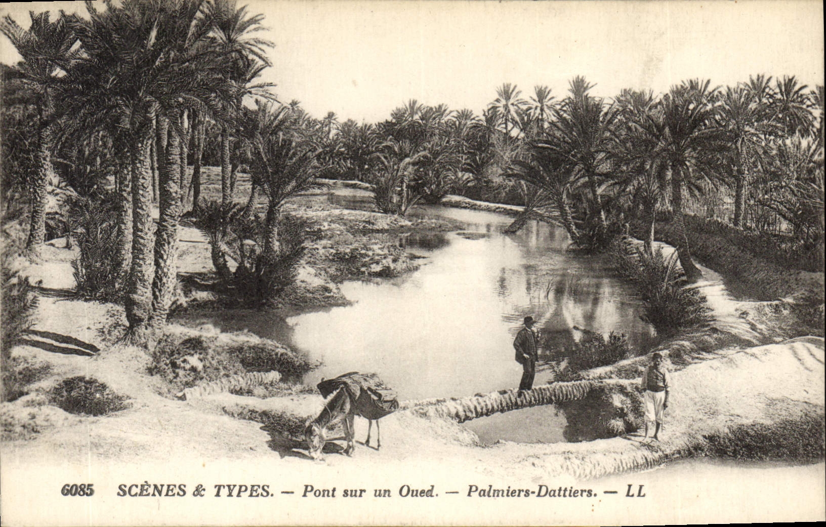 Vintage Postcard Palm trees - date palms Bridge on a wadi