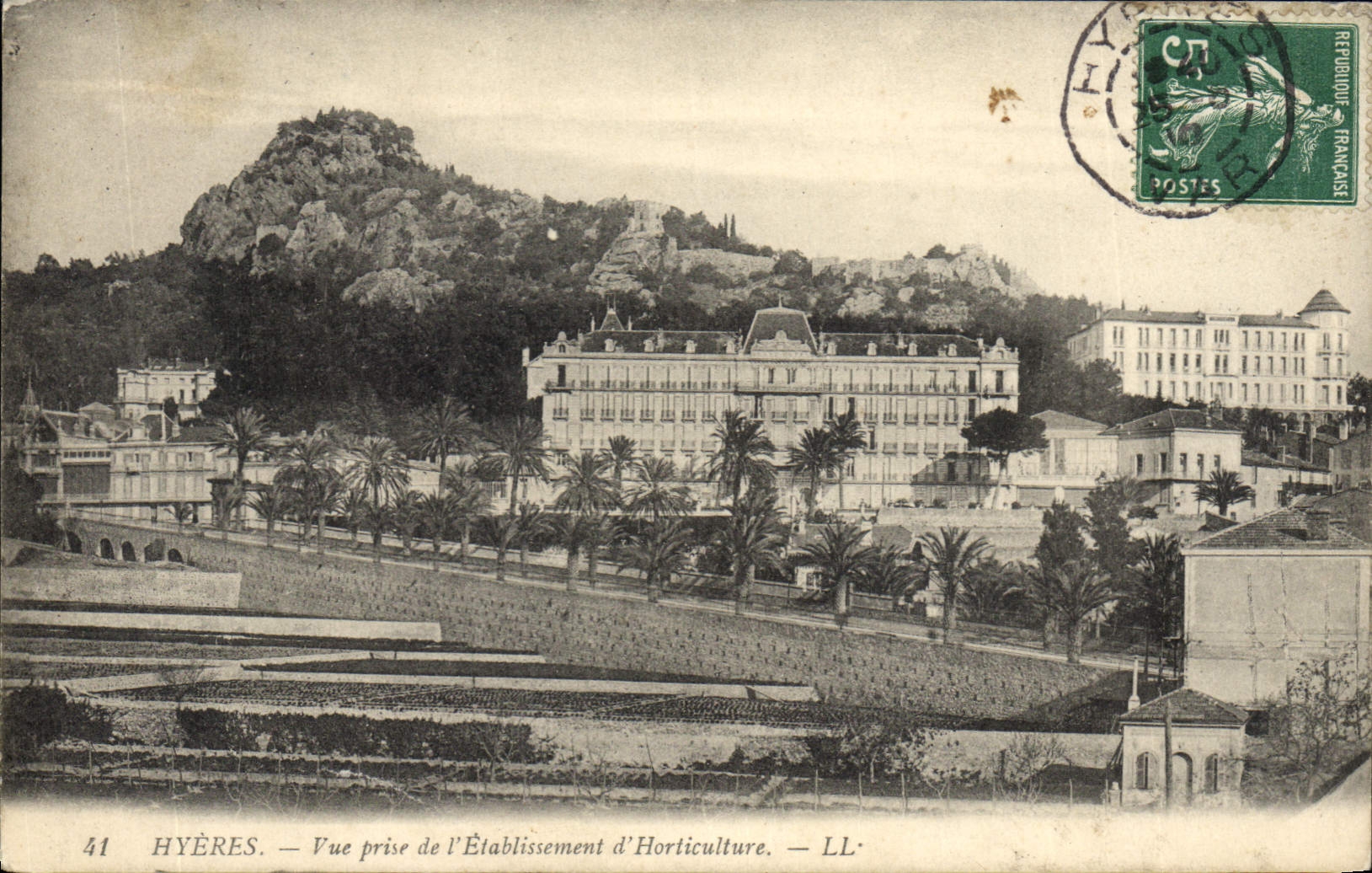 Vintage Postcard Hyeres Palm trees Seen taken of the establishment of horticulture