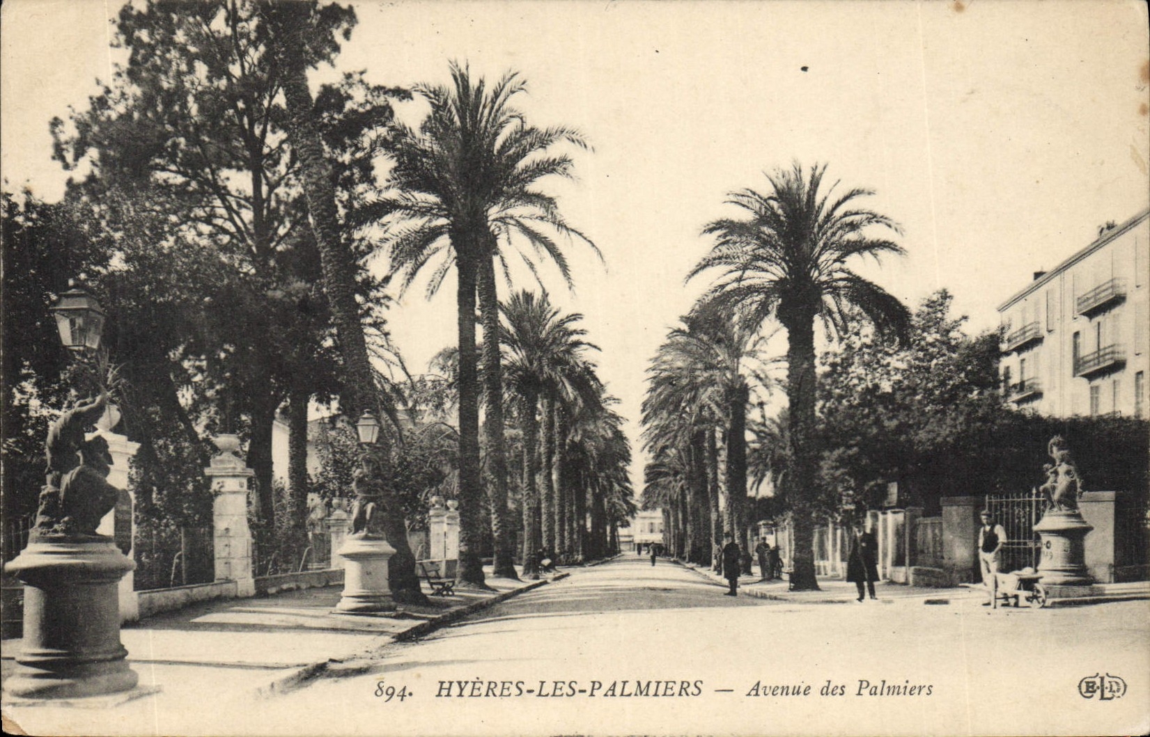 CPA Avenue des Palmiers Hyeres les Palmiers 