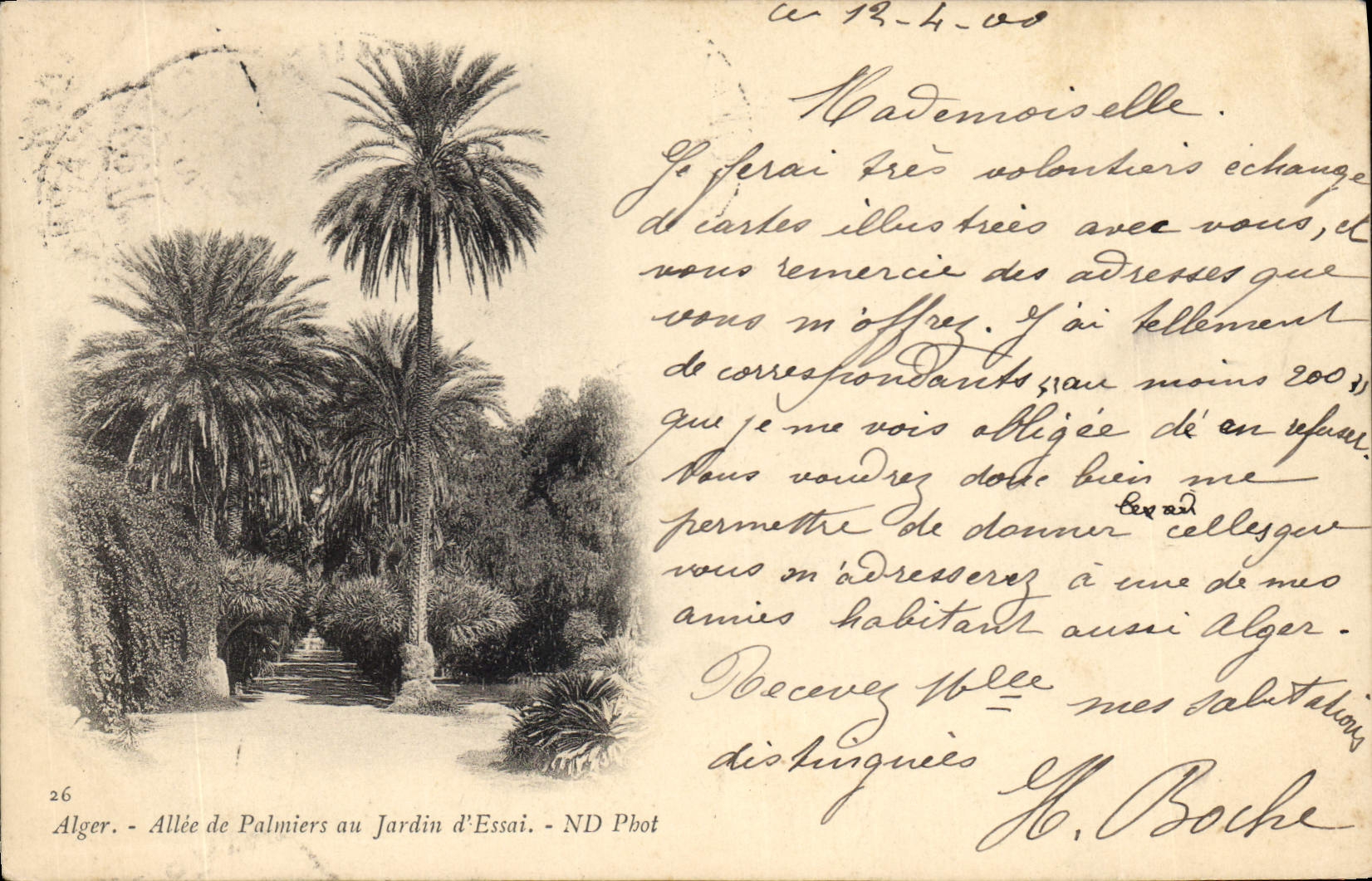 Vintage Postcard Algiers Palm trees Gone from the palm trees to the garden of test