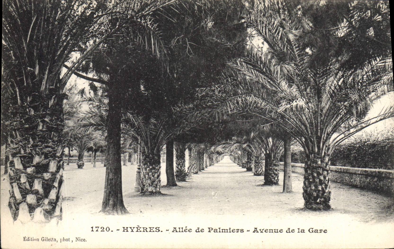 CPA Palmiers Hyeres Allee de palmiers Avenue de la gare 