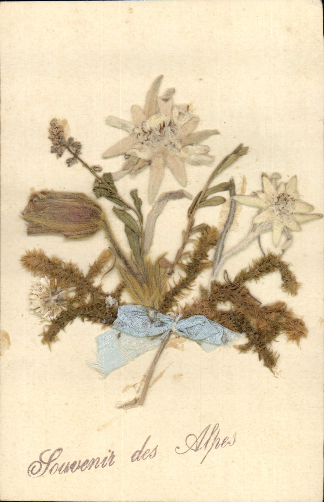 CPA Fantaisie Fleurs (fleurs sechees)