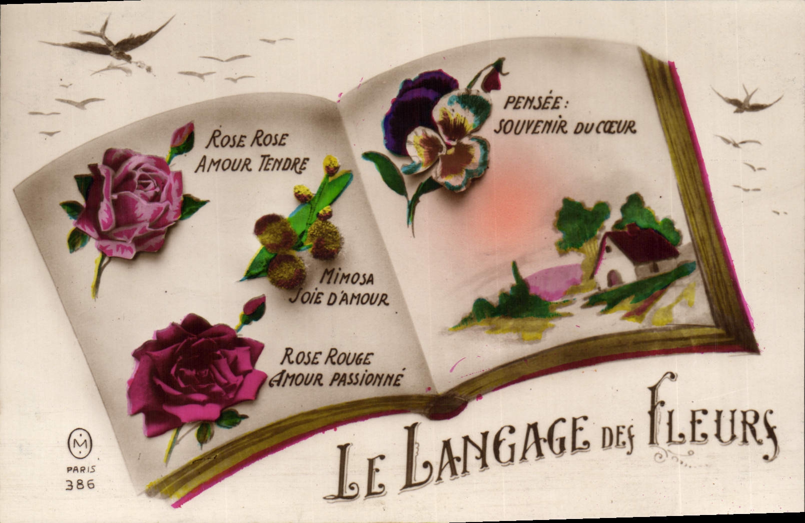 CPA Fantaisie Langage des Fleurs 