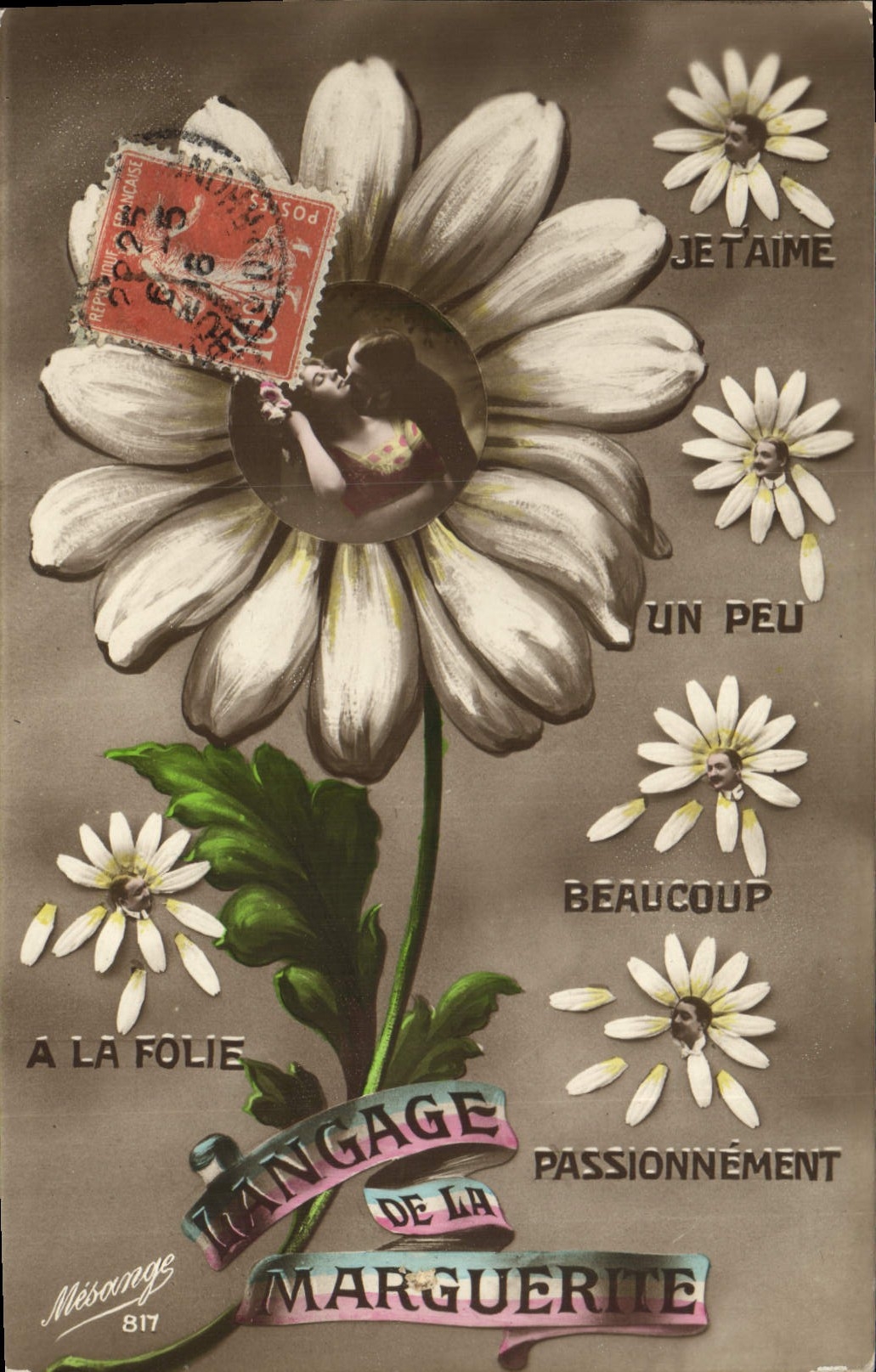 Vintage Postcard Fantasy Language of the Marguerite Flowers
