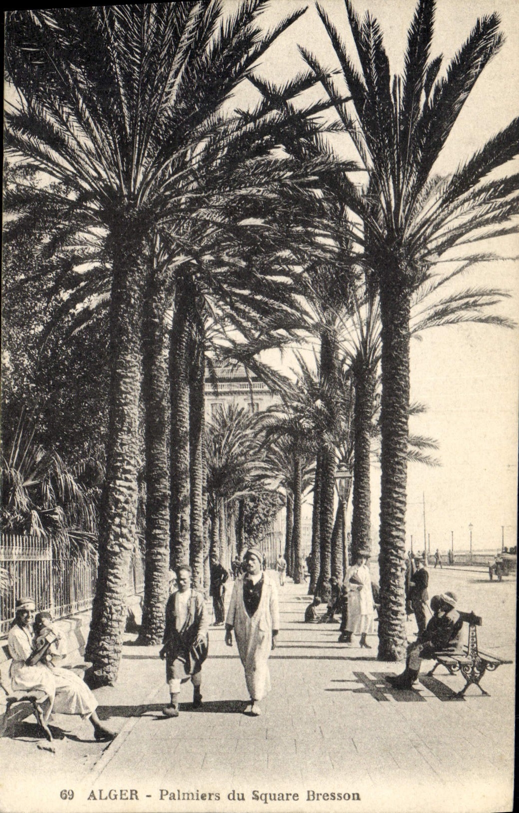 CPA Palmiers Palmier Alger Palmiers du square Bresson 