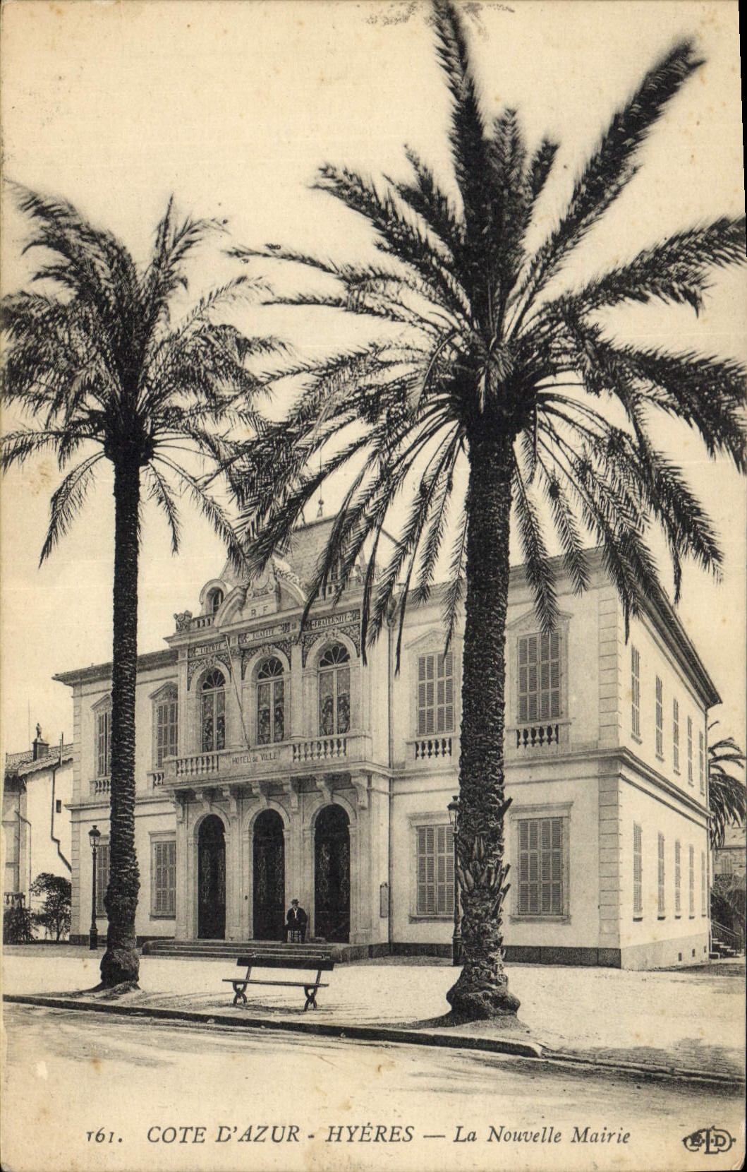 CPA Palmiers Palmier Hyeres La nouvelle mairie 