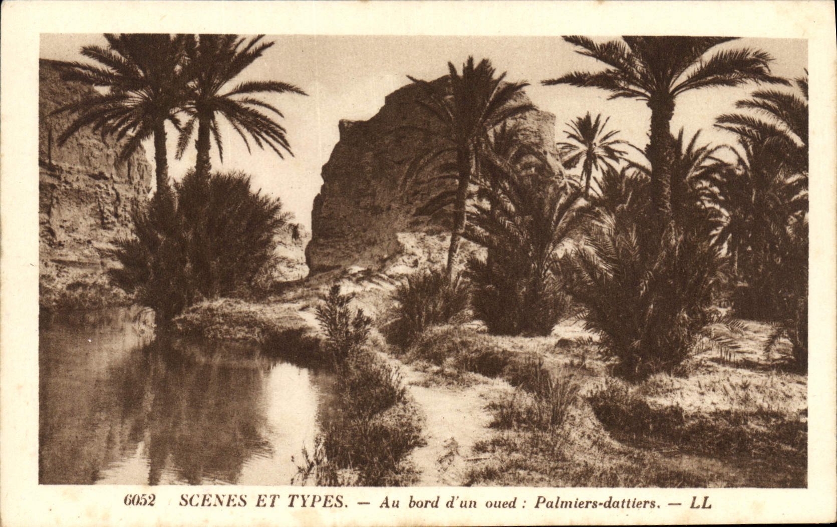 Vintage Postcard At the edge of a wadi Palm trees - date palms Palm tree