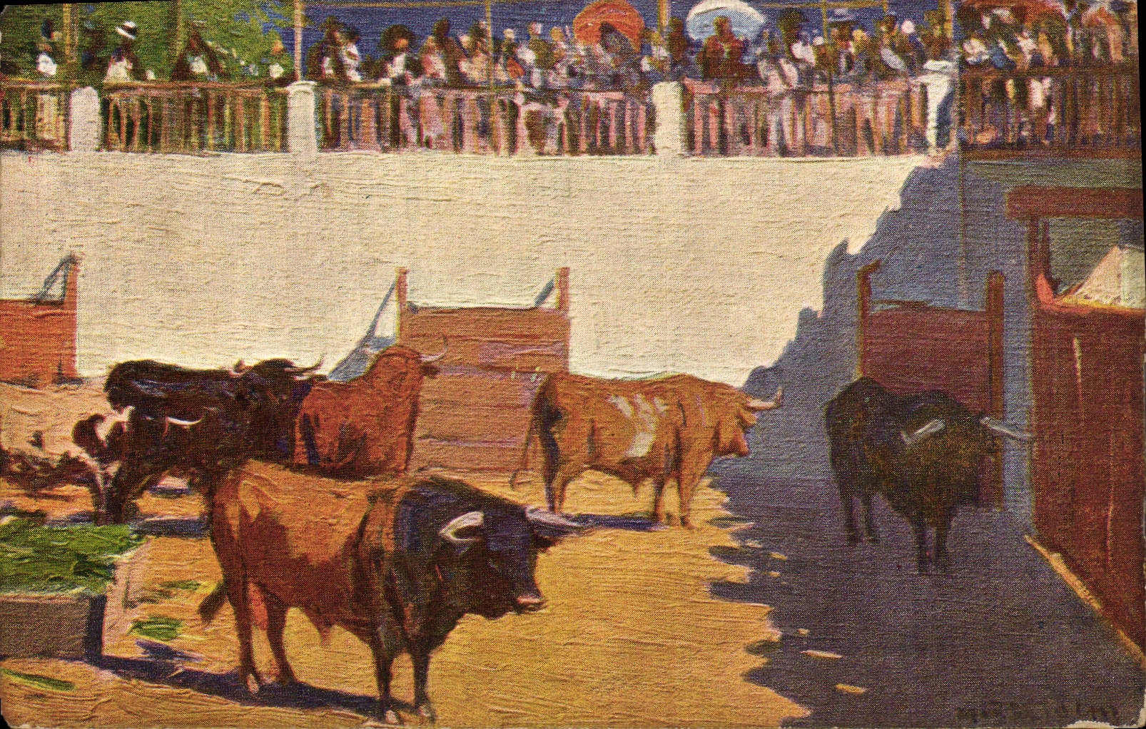 CPA Corrida Course de taureaux Bertuchi