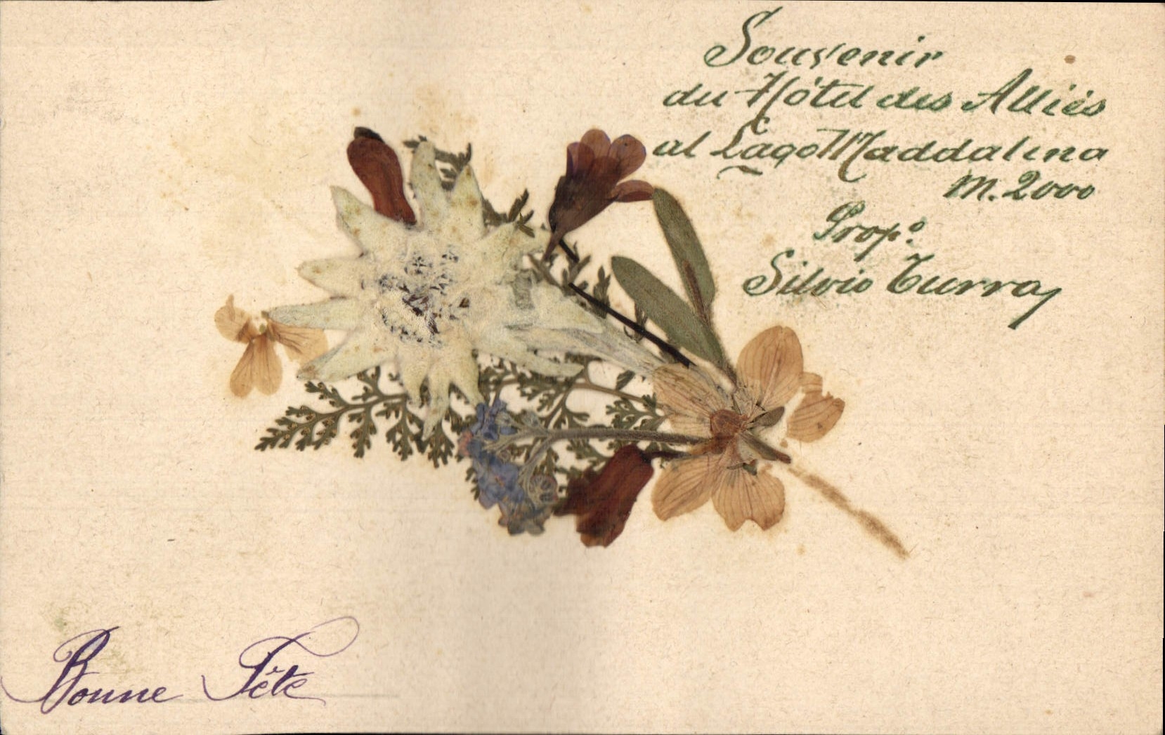 CPA Fantaisie Fleurs sechees 