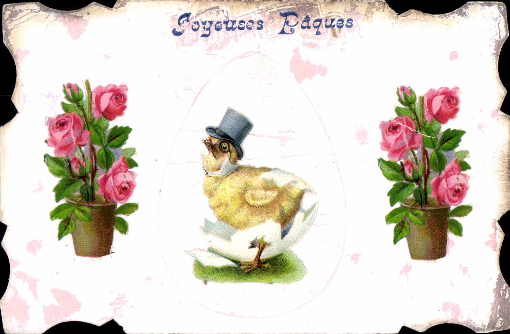 Vintage Postcard Fantasy Flowers Chick