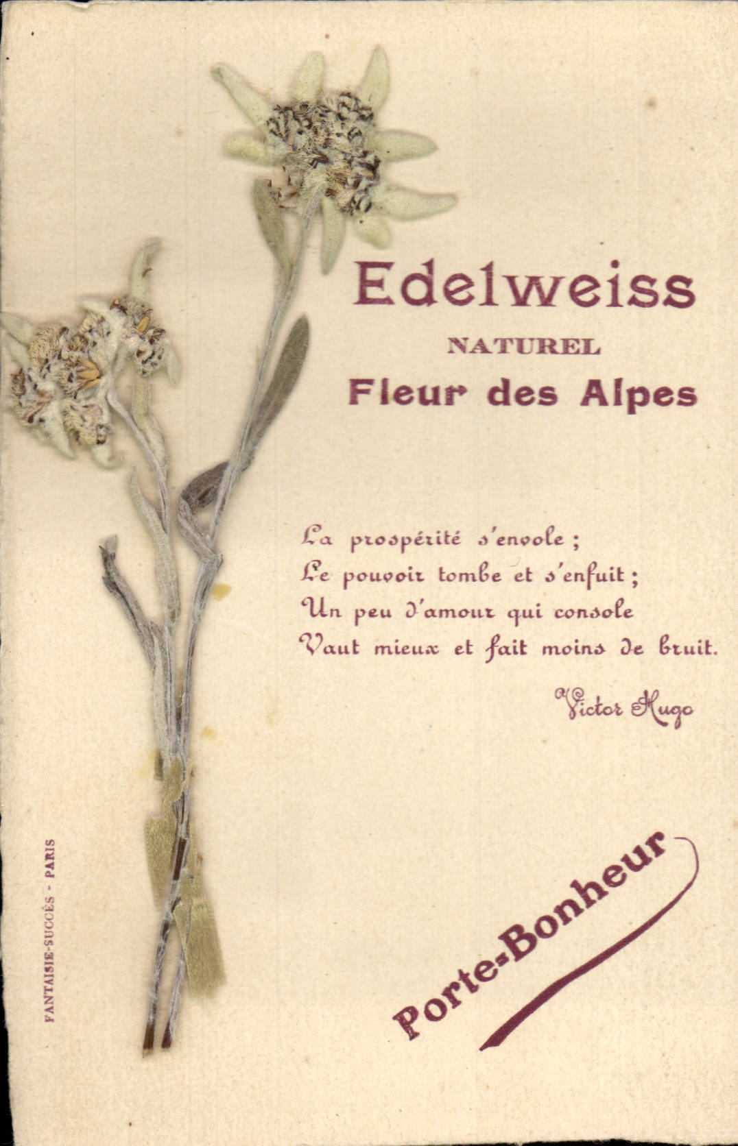 CPA Fantaisie Fleurs sechees Edelweiss