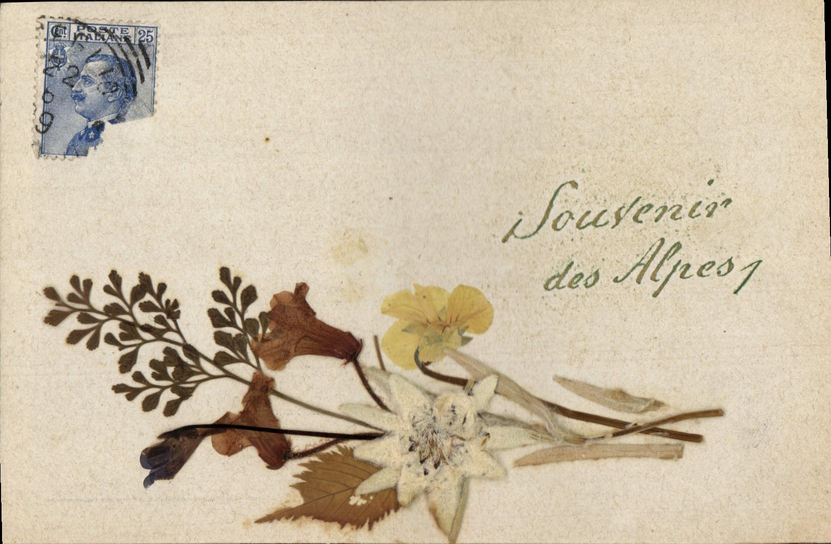 CPA Fantaisie Fleurs sechees 