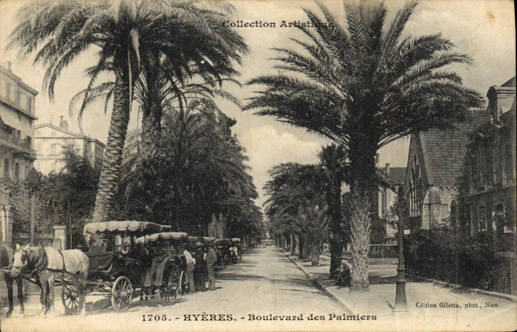 Vintage Postcard Hyeres Boulevard of the Palm trees Palm tree