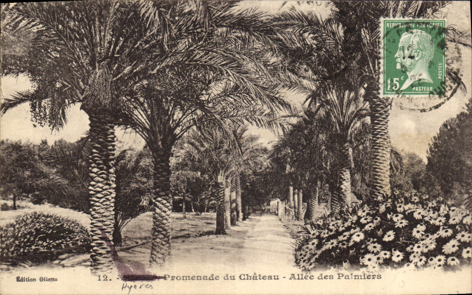 Vintage Postcard Palm trees Palm tree Hyeres Walk of the castle Gone of the palm trees