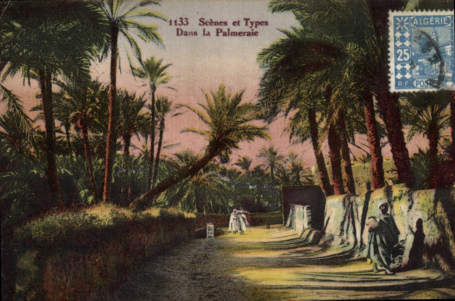 Vintage Postcard Palm trees Palm tree In the palm plantation