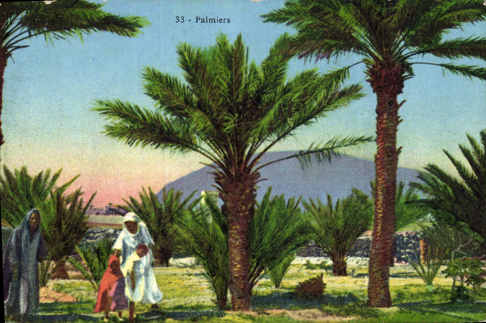 Vintage Postcard Palm trees Palm tree
