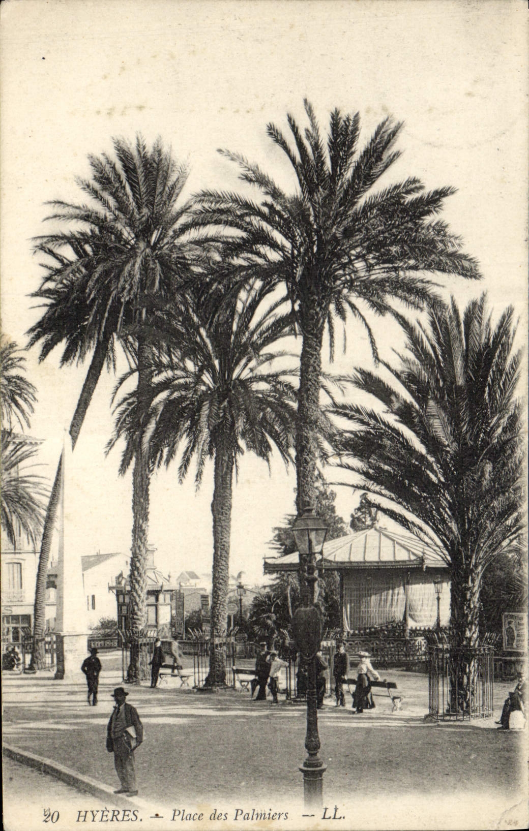 Vintage Postcard Hyeres Places Palm trees Palm tree