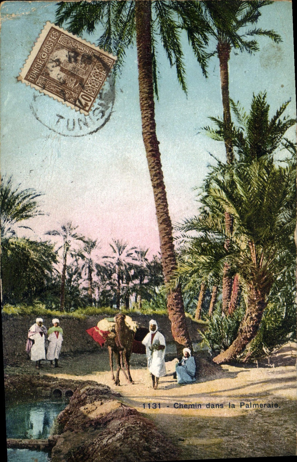 Vintage Postcard Palm trees Palm tree Way in the palm plantation
