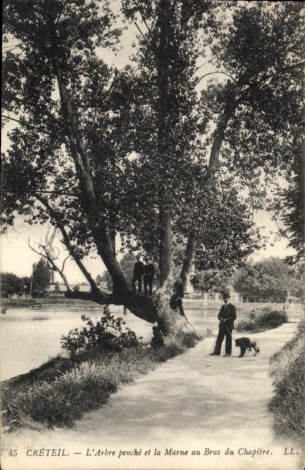 Vintage Postcard Arbre Creteil the tree leans and the Marne on the arm of Chapter