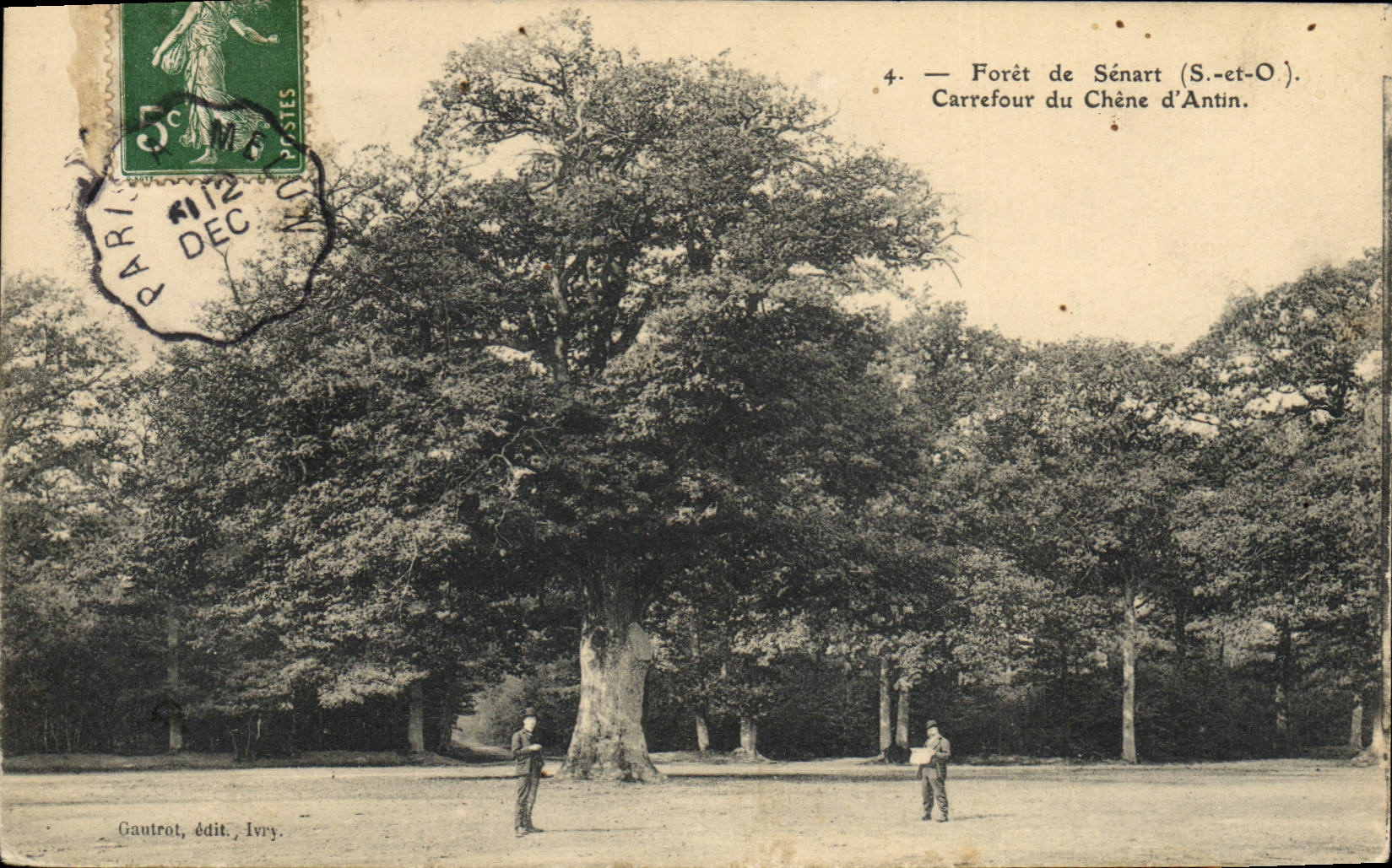 Vintage Postcard Tree Drill of Senart Crossroads of the oak of Antin