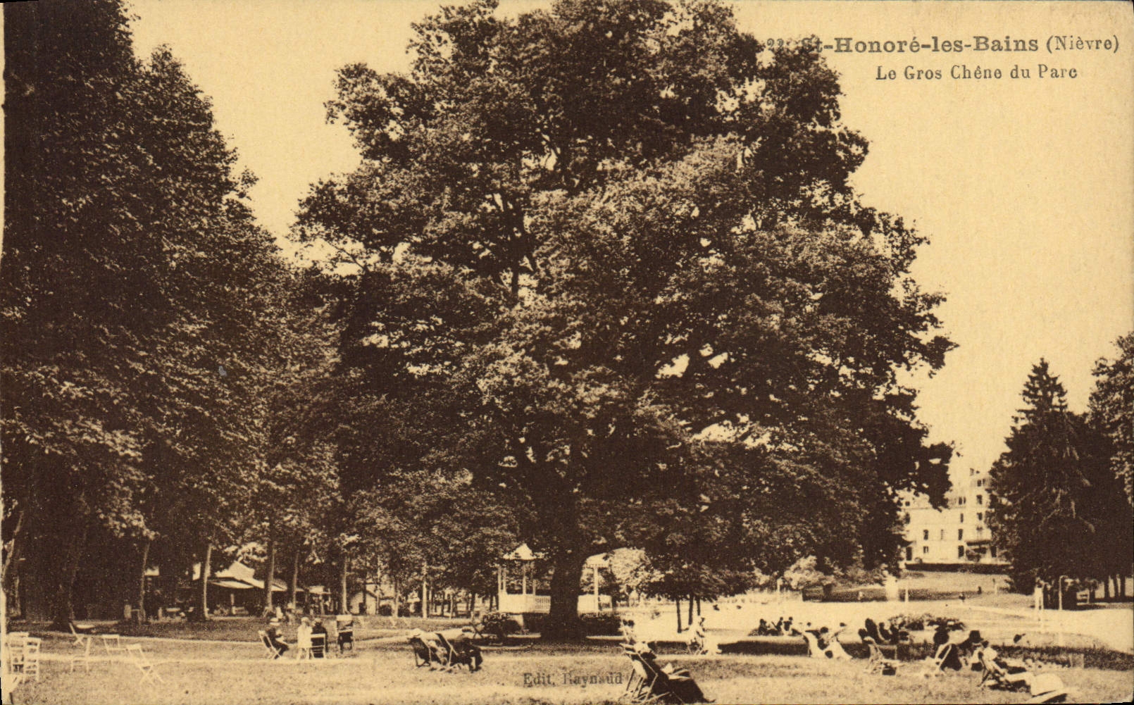 Vintage Postcard Arbre St Honours the Baths the large oak with the park
