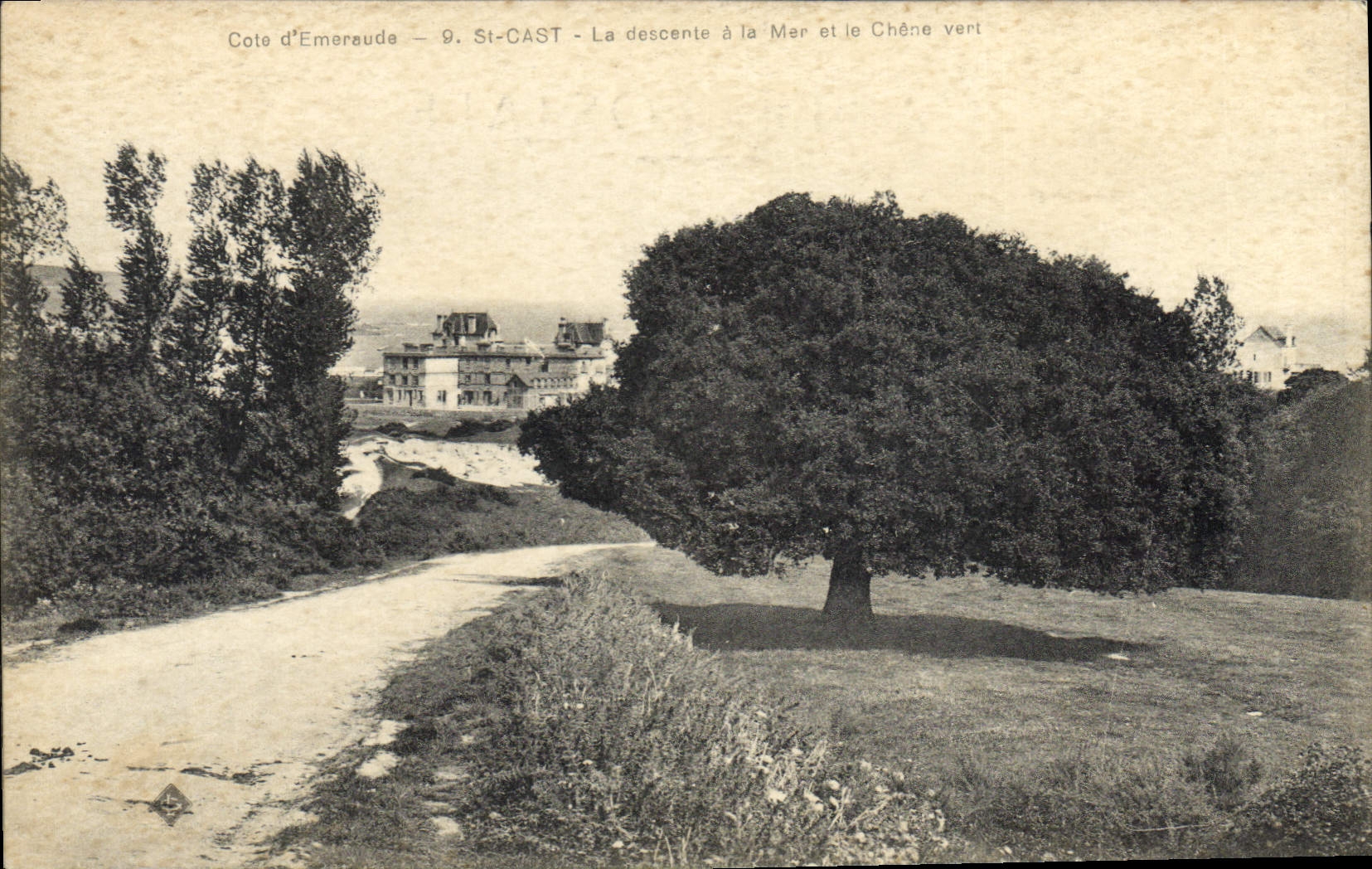 Vintage Postcard Arbre St Cast the descent has the sea and the holm oak
