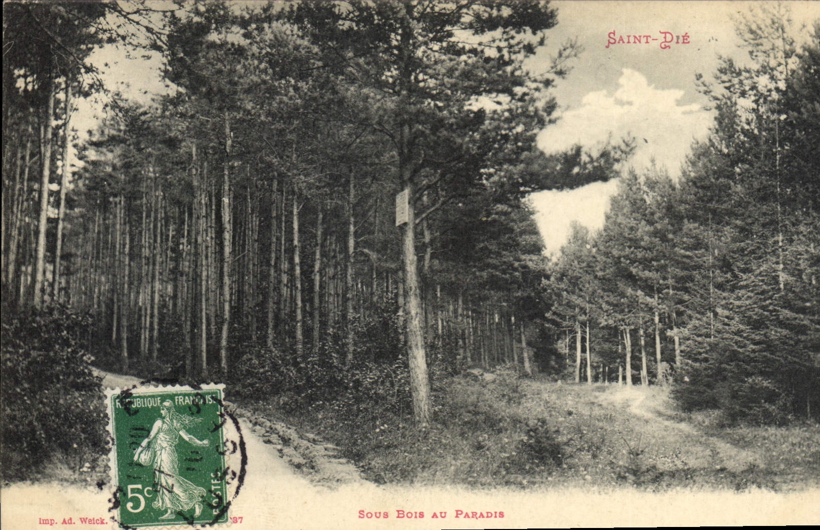 Vintage Postcard Tree Under wood with the Holy paradise Die