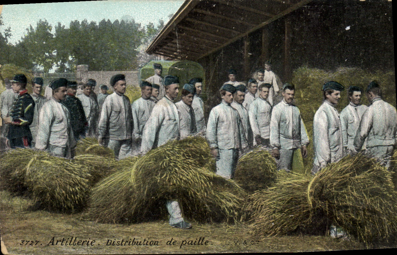 Vintage Postcard Militaria Artillery Distribution of straw