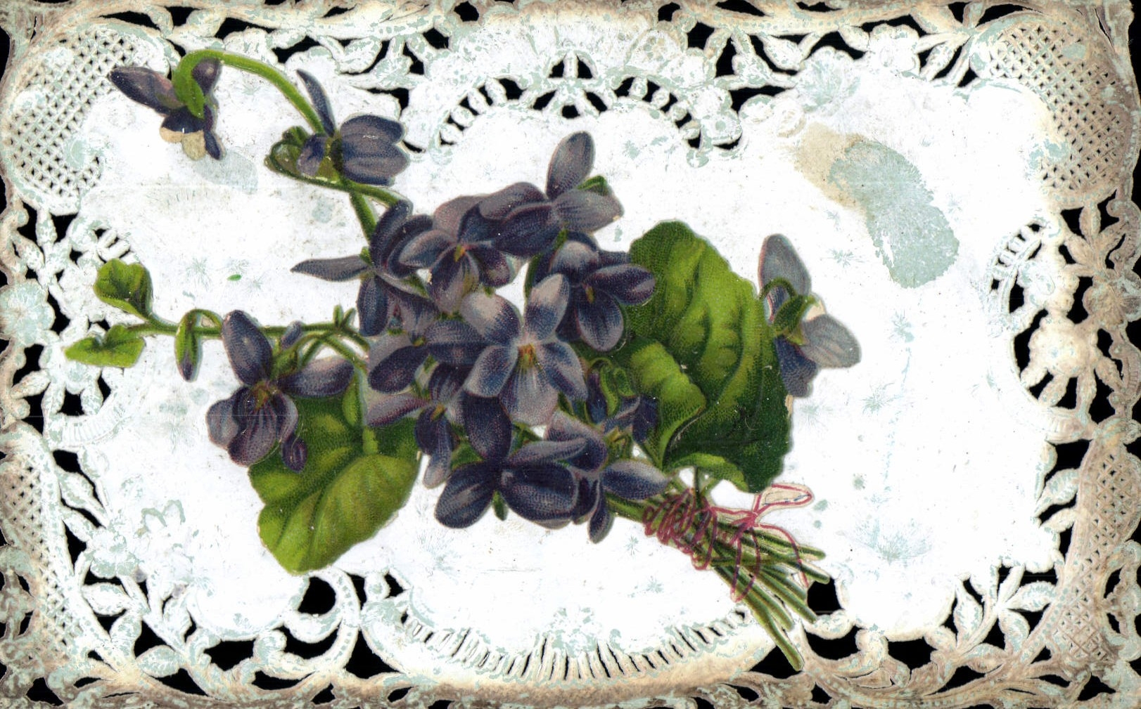 CPA Brodee Fantaisie Fleurs 