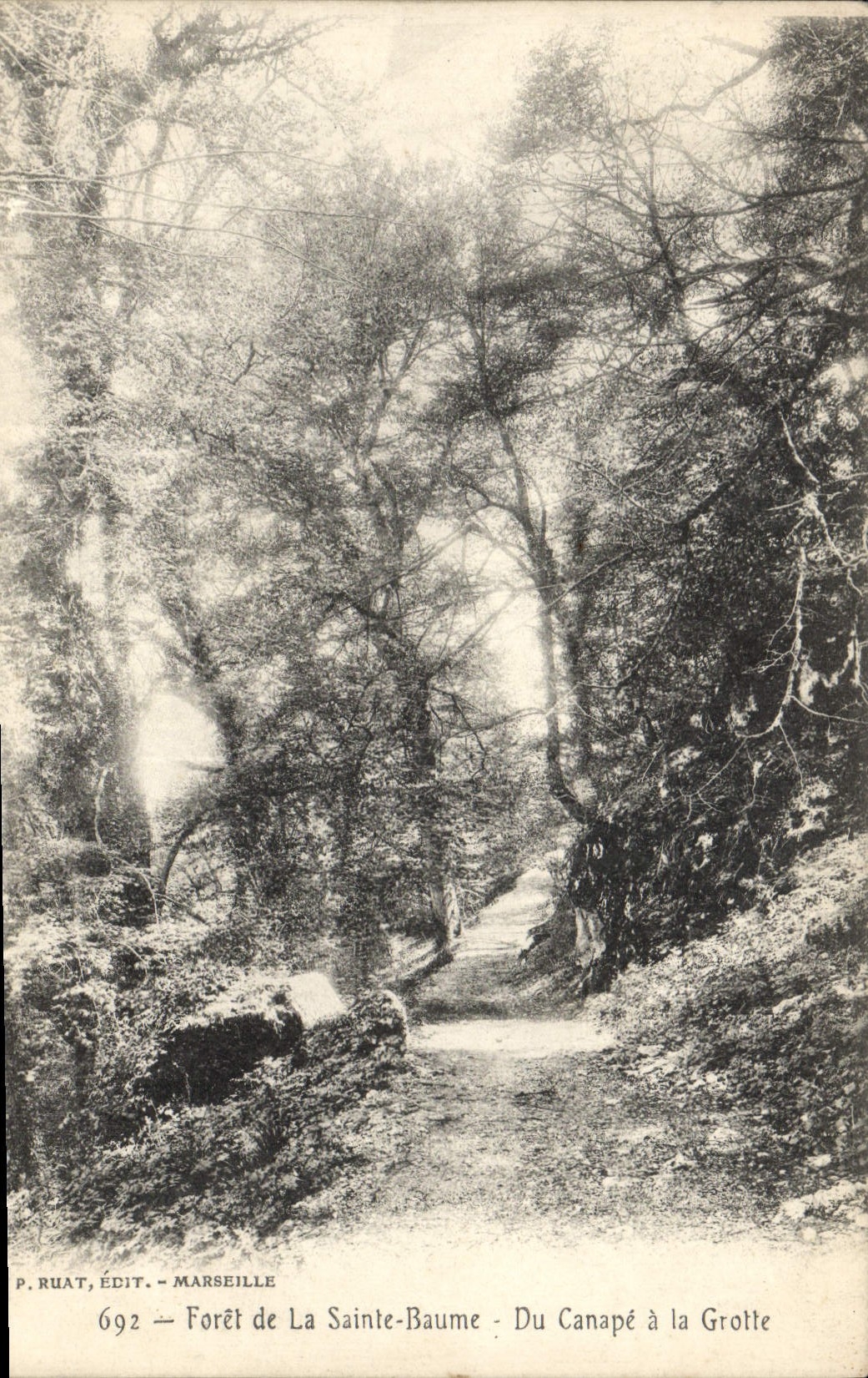 Vintage Postcard Arbre Drill of Holy the Balsam Of the Settee has the cave