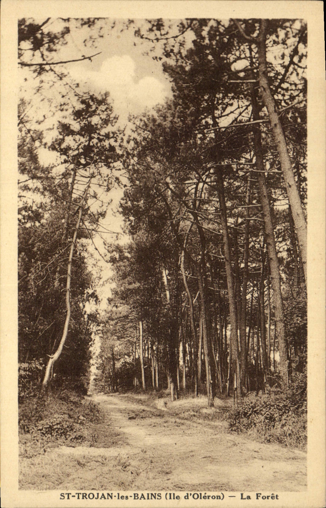 Vintage Postcard Tree St Trojan the Baths Island of Oleron the drill