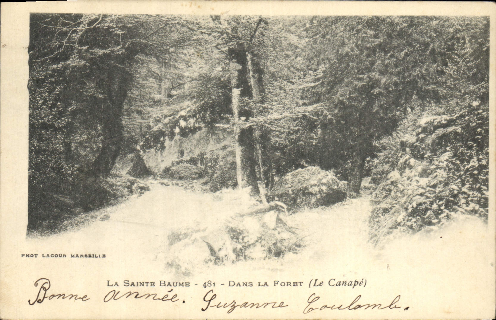 Vintage Postcard Tree Holy the Balsam In the drill the settee