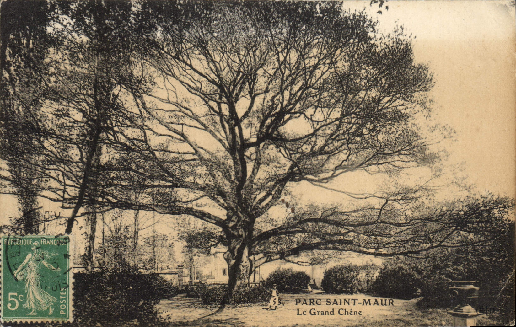 Vintage Postcard Tree Holy Park Maur the large Oak