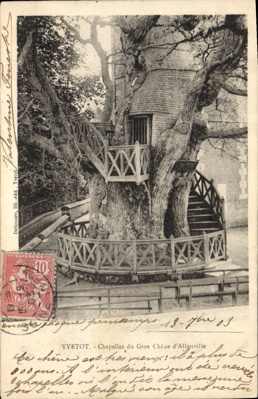 Vintage Postcard Tree Yvetot Vaults of the large oak of Allouville