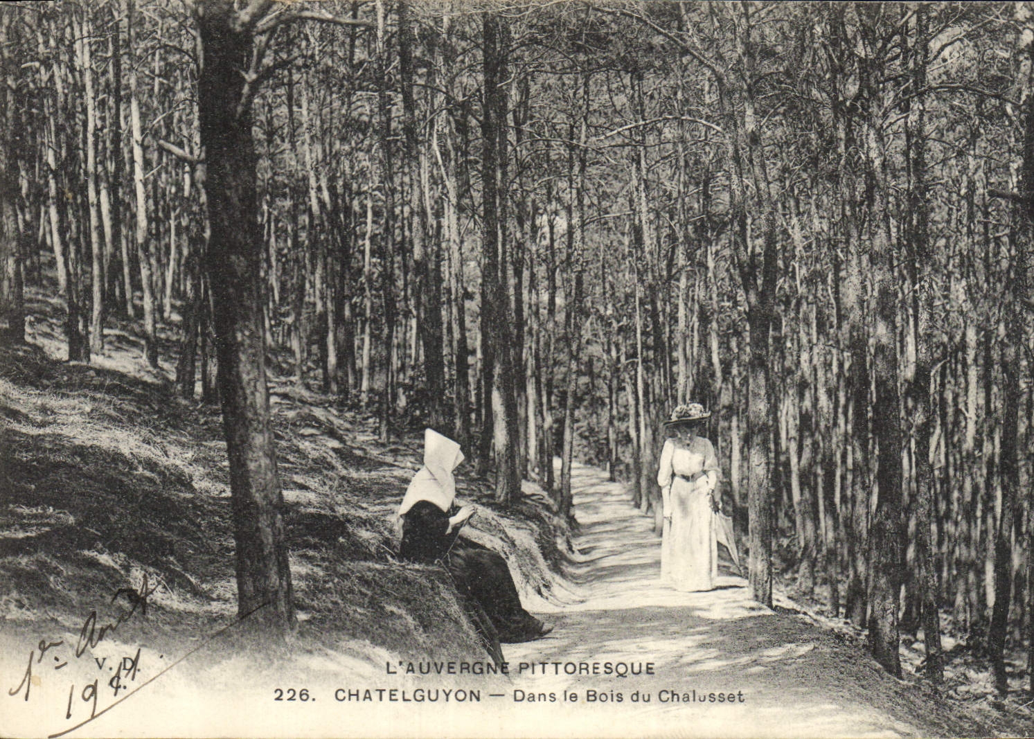 Vintage Postcard Chatelguyon Tree In the wood of Chalusset