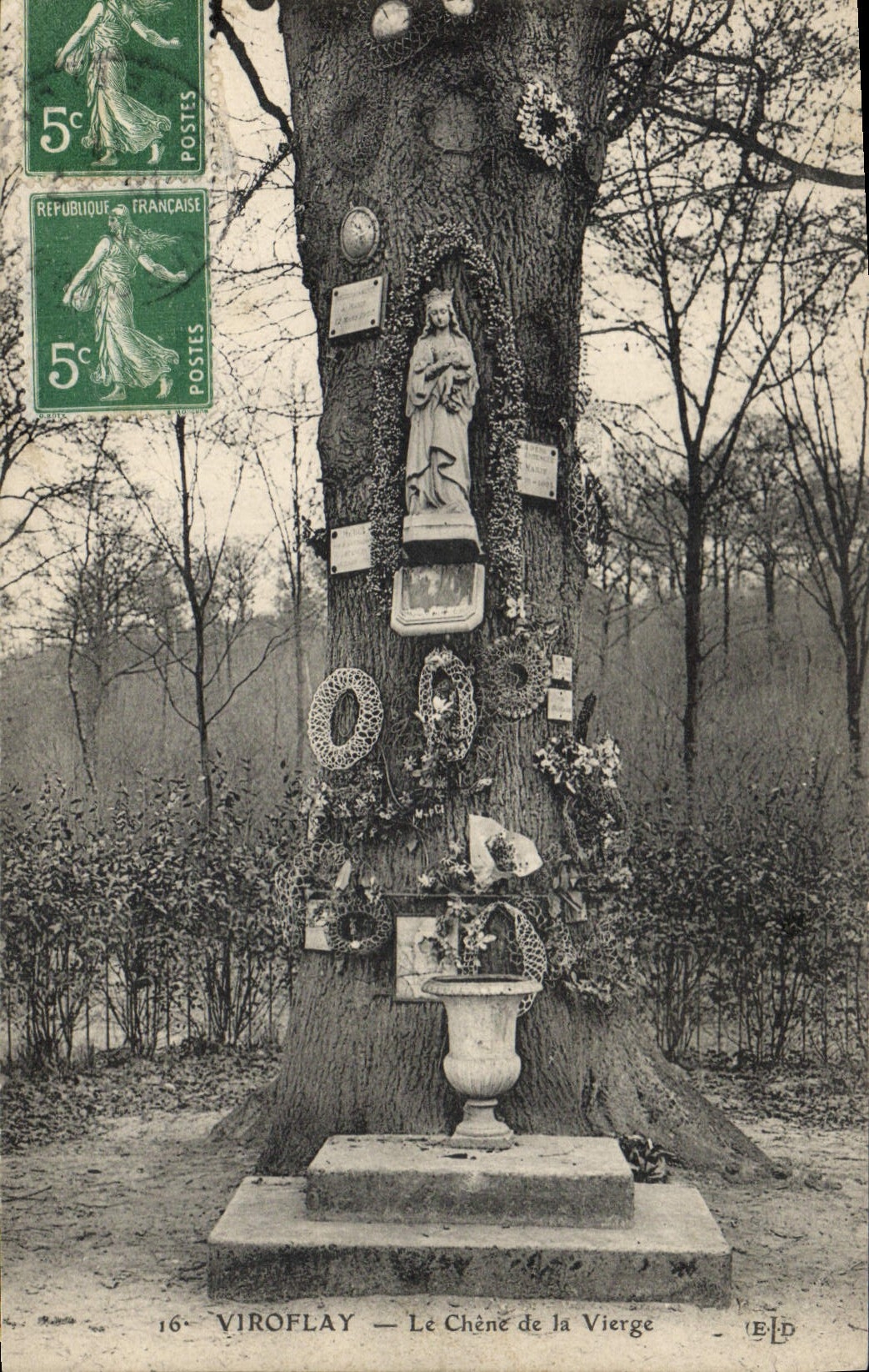 Vintage Postcard Viroflay Tree the oak of the virgin