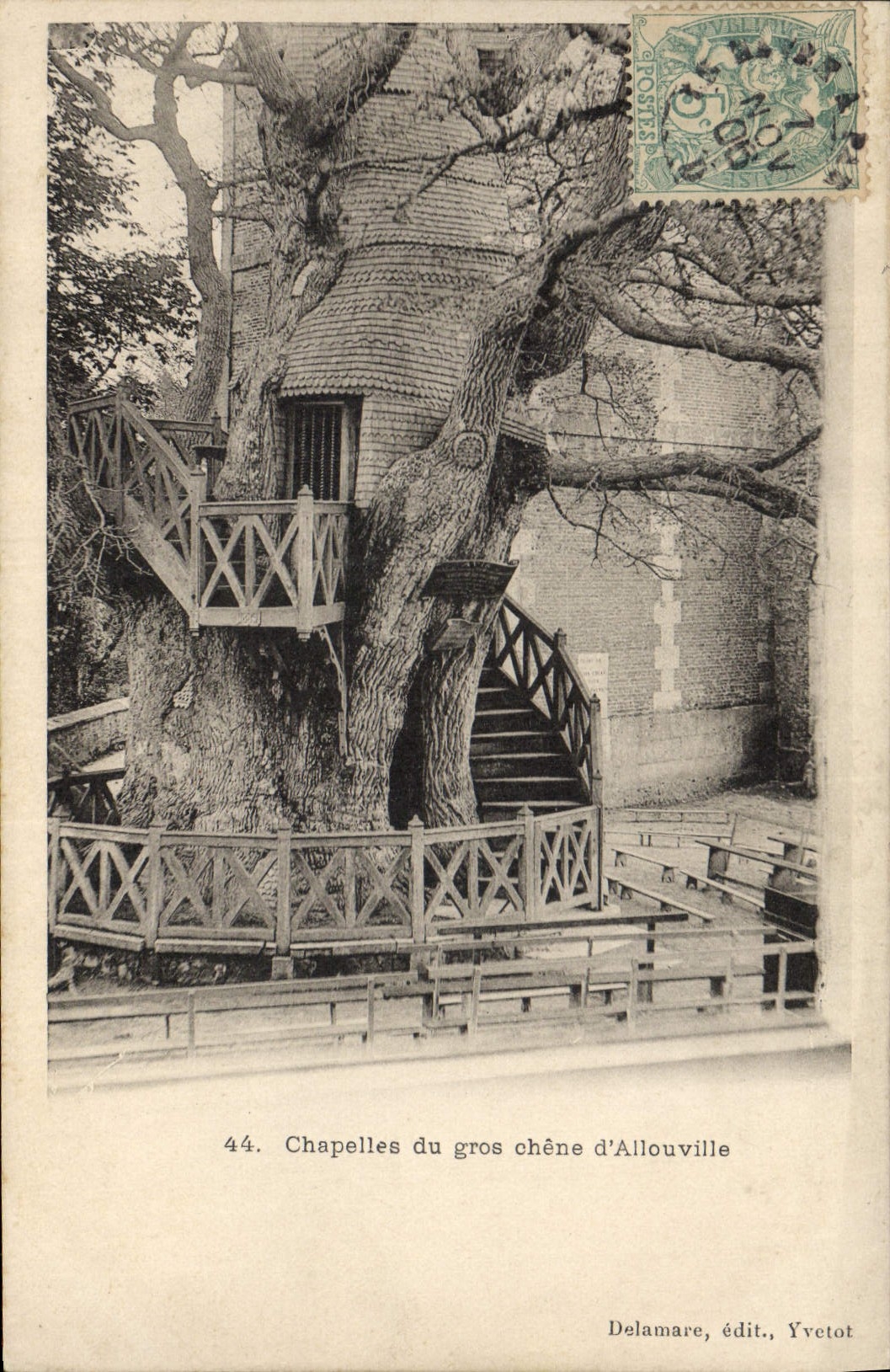 Vintage Postcard Tree Vaults of the large oak of Allouville