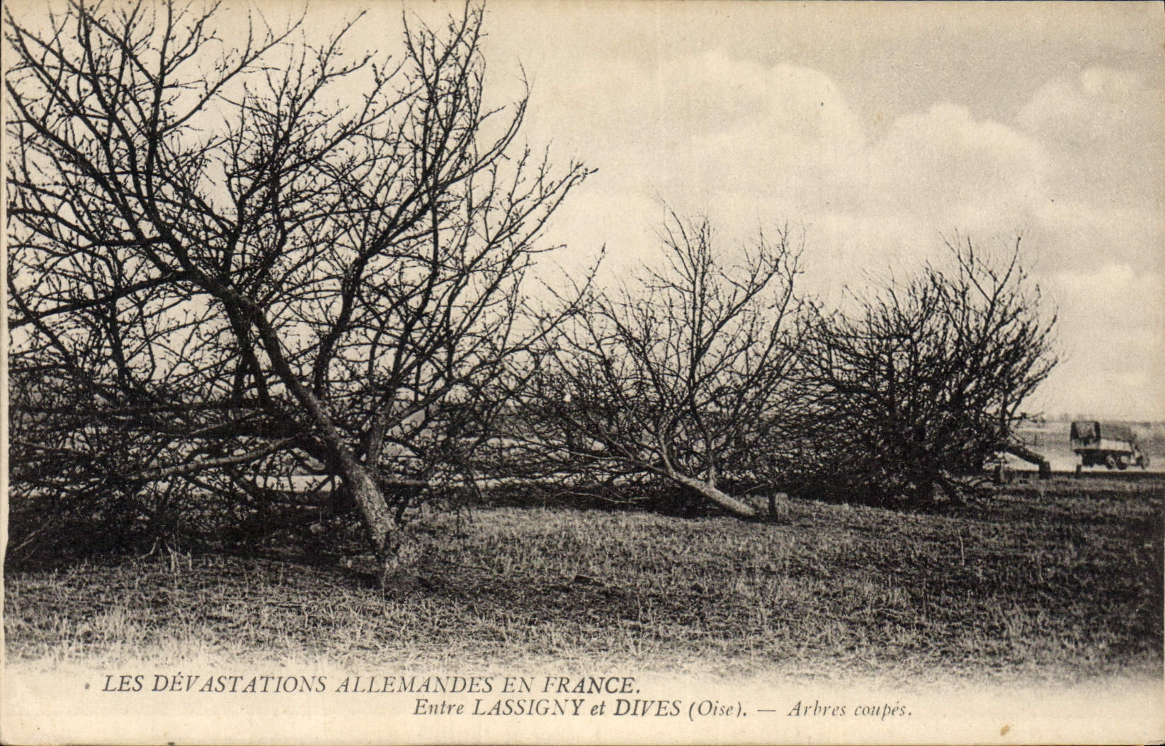 Vintage Postcard Tree Between Lassigny and Dives Trees Militaria cuts
