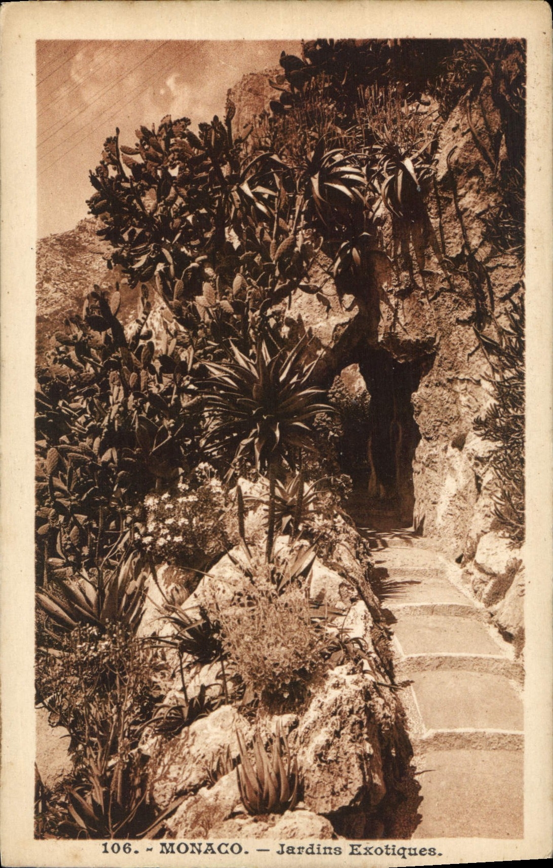 Vintage Postcard Monaco exotic Gardens