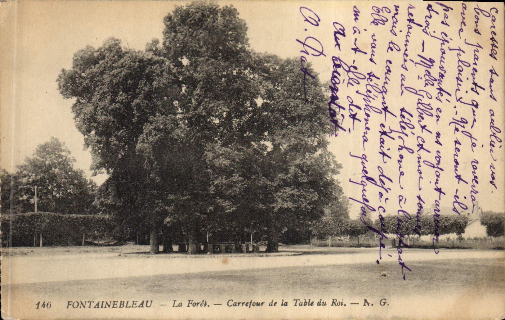 Vintage Postcard Fontainebleau Tree the drill Crossroads of the table of the king