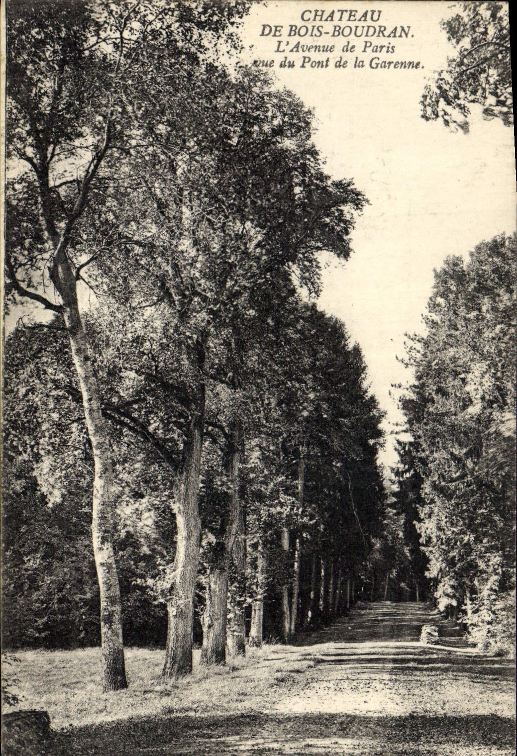 Vintage Postcard Tree Castle of Bourdran Wood the avenue of Paris seen of the Bridge of the Garonne