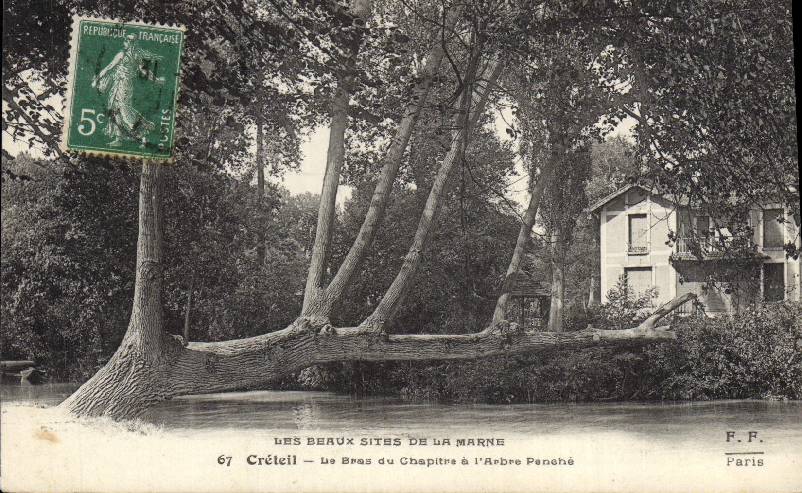 Vintage Postcard Arbre Creteil the arm of the chapter has the Penche tree