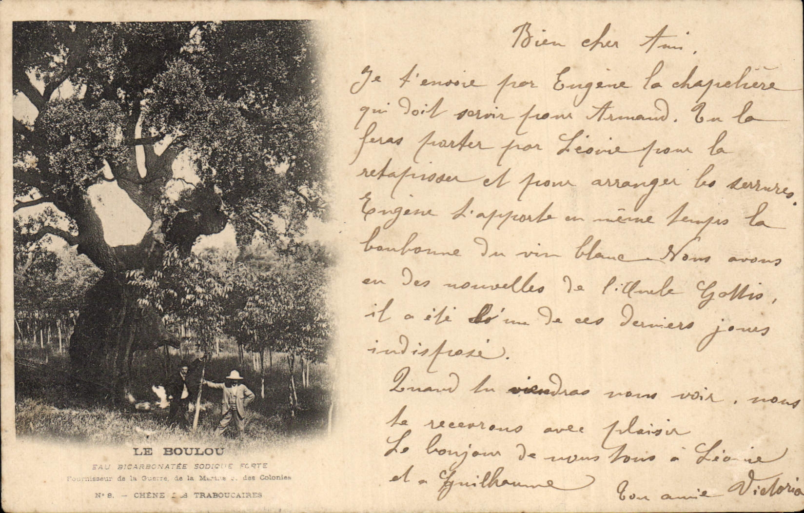 Vintage Postcard Tree Boulou Traboucaires Oak