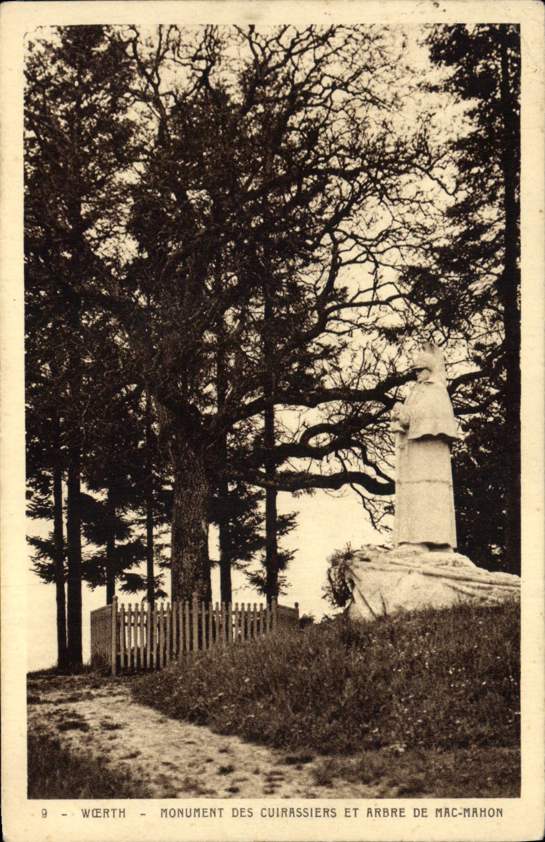 Vintage Postcard Tree Woerh Monument of the cuirassiers and tree of Mac Mahon Militaria